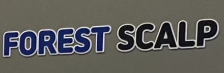 포레스트두피탈모 광교중앙점 두피관리사 모집