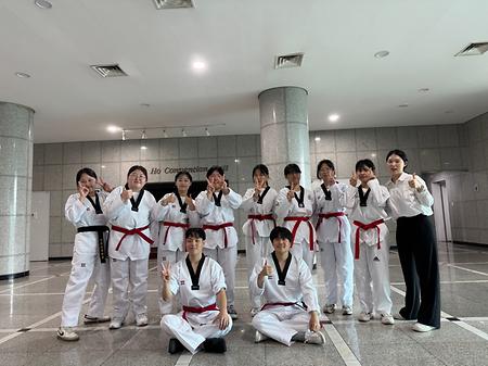 단체
