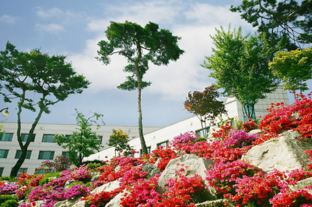 색깔이 참 예쁜 돌담